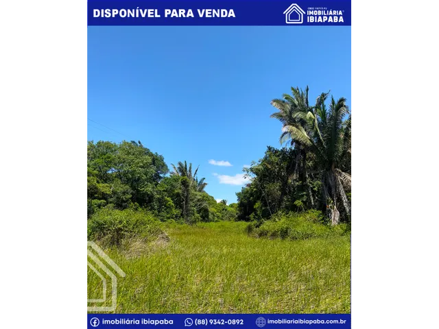 Imagem 5: Propriedade com 40 Hectares Disponível para Venda em São Benedito