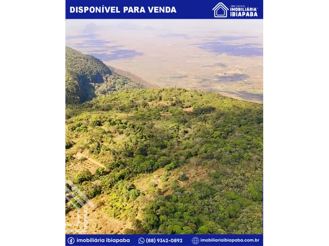 Imagem 2: Propriedade com 40 Hectares Disponível para Venda em São Benedito