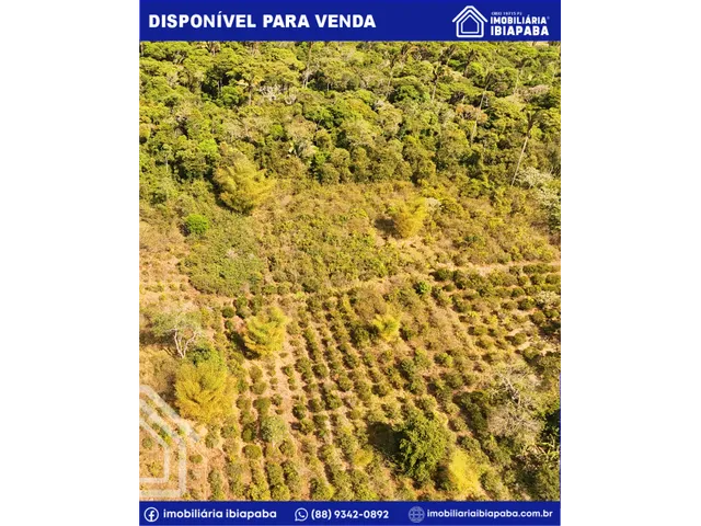 Imagem 3: Propriedade com 40 Hectares Disponível para Venda em São Benedito