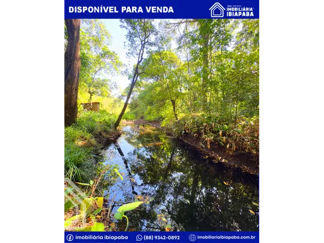 Imagem 10: Propriedade com 40 Hectares Disponível para Venda em São Benedito