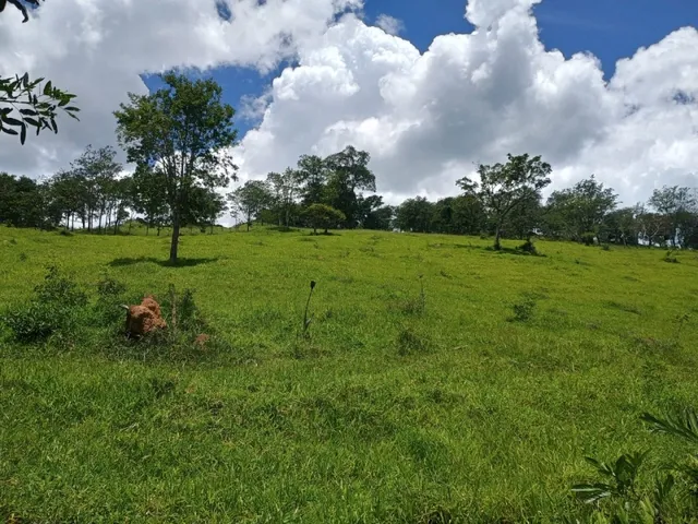 Imagem: Fazendinha de 12 Há em Itaguara Mg