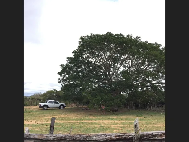 Imagem: Venda de Propriedade Rural em Morro do Chapeu