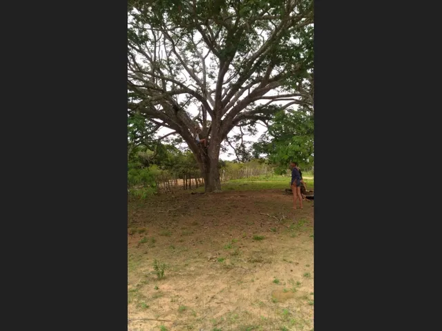 Imagem 2: Venda de Propriedade Rural em Morro do Chapeu
