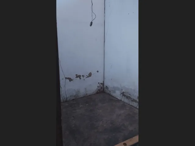 Imagem 6: Vende Se Imóvel