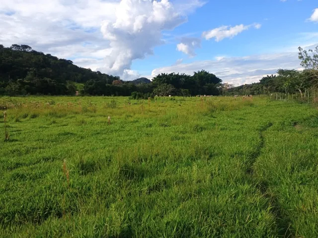 Imagem: Terreno de 60 Há em Oliveira Mg