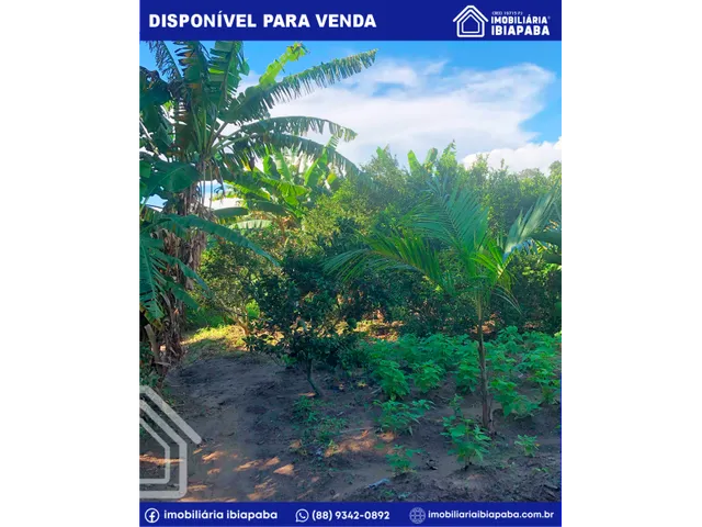 Imagem 8: Excelente Chácara Disponível para Venda com Apenas 2 Km do Centro de São Benedito