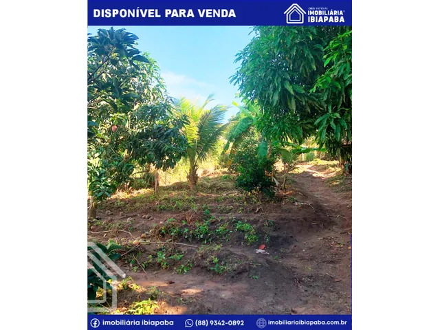 Imagem 7: Excelente Chácara Disponível para Venda com Apenas 2 Km do Centro de São Benedito