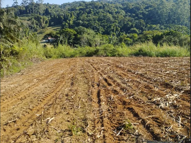 Imagem 3: Vendo Ótimo Sítio em Testo Central, Pomerode