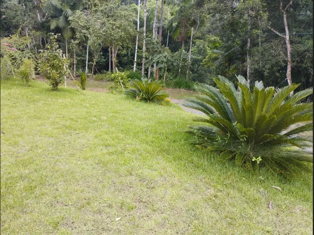 Imagem 5: Vendo Ótimo Sítio em Testo Central, Pomerode
