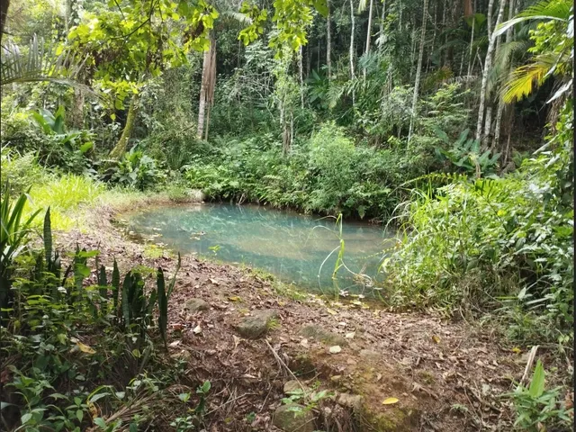 Imagem 11: Vendo Ótimo Sítio em Testo Central, Pomerode