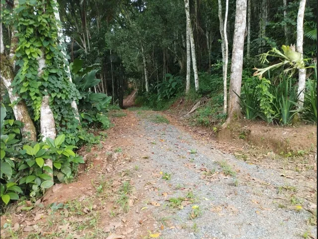 Imagem 6: Vendo Ótimo Sítio em Testo Central, Pomerode
