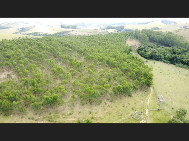 Imagem: Fazenda de 60 Há em Piedade dos Gerais