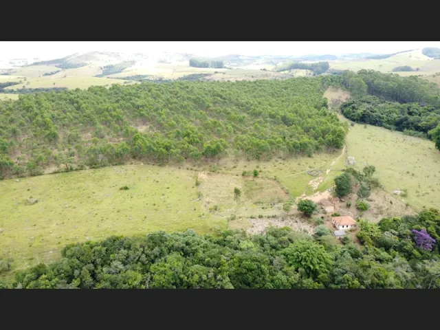 Imagem 11: Fazenda de 60 Há em Piedade dos Gerais Mg
