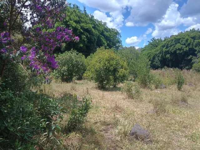 Imagem 10: Fazenda de 60 Há em Piedade dos Gerais Mg