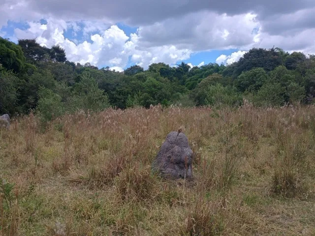 Imagem 13: Fazenda de 60 Há em Piedade dos Gerais Mg