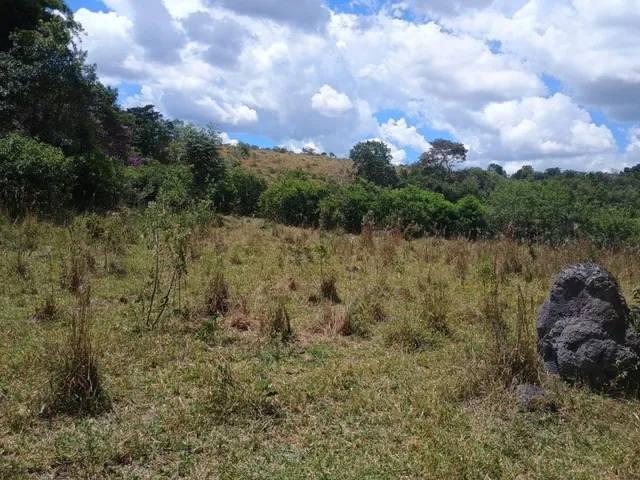 Imagem 3: Fazenda de 60 Há em Piedade dos Gerais Mg