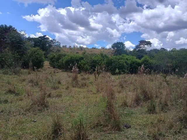 Imagem 5: Fazenda de 60 Há em Piedade dos Gerais Mg