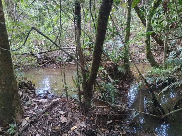 Imagem 8: Fazenda de 60 Há em Piedade dos Gerais Mg