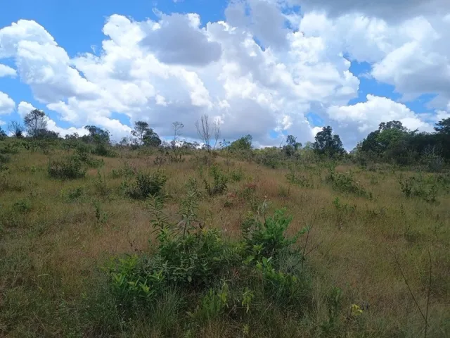 Imagem 15: Fazenda de 60 Há em Piedade dos Gerais Mg