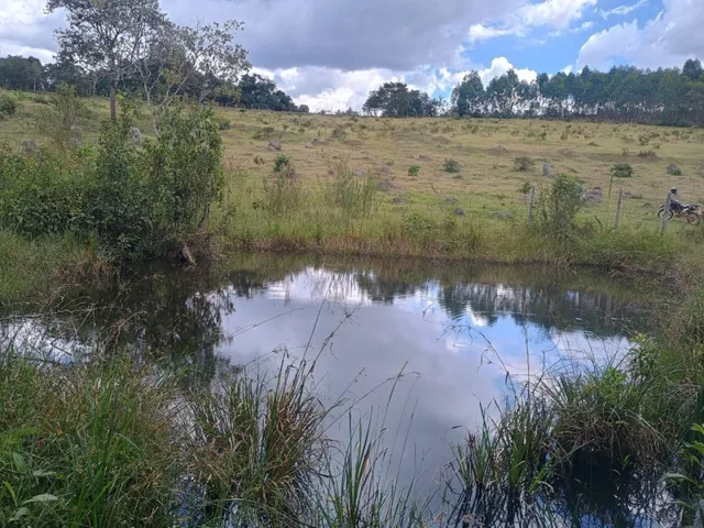 Imagem 14: Fazenda de 60 Há em Piedade dos Gerais Mg