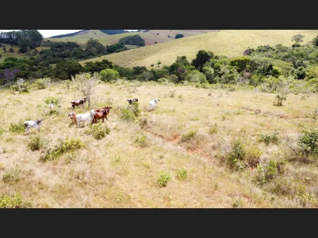 Imagem 2: Fazenda de 60 Há em Piedade dos Gerais Mg