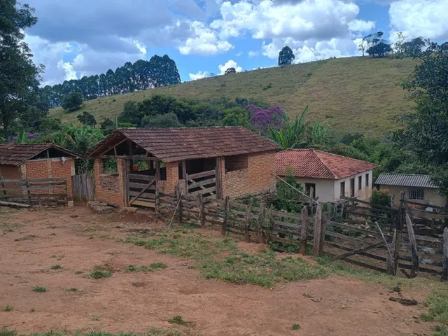 Imagem 12: Fazenda de 60 Há em Piedade dos Gerais Mg