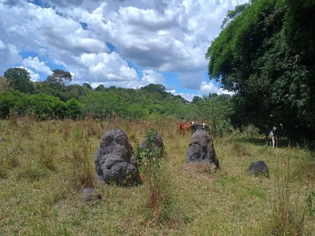 Imagem 4: Fazenda de 60 Há em Piedade dos Gerais Mg