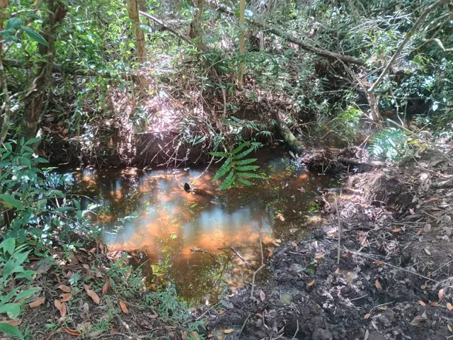 Imagem 16: Fazenda de 60 Há em Piedade dos Gerais Mg