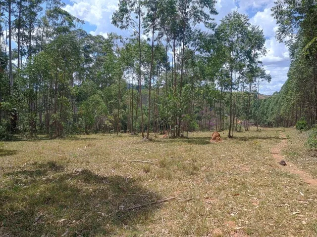 Imagem 7: Fazenda de 60 Há em Piedade dos Gerais Mg