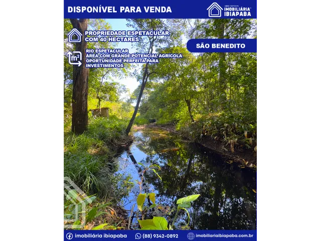 Imagem: Propriedade com 40 Hectares Disponível
