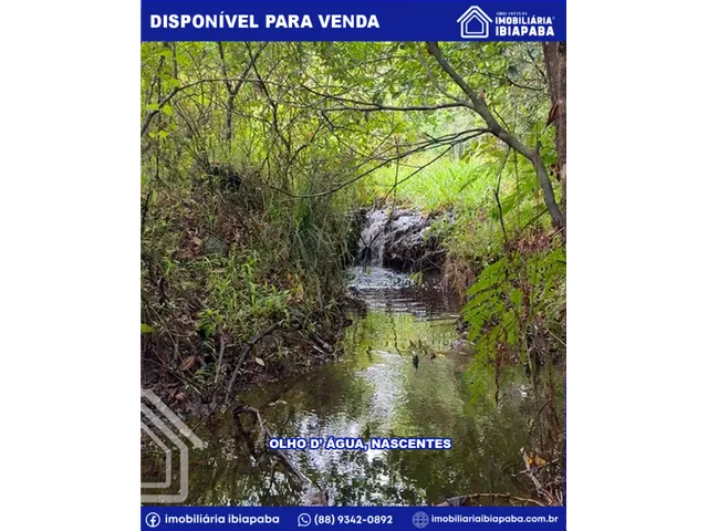 Imagem 6: Mirante Espetacular no Sítio santa Luzia