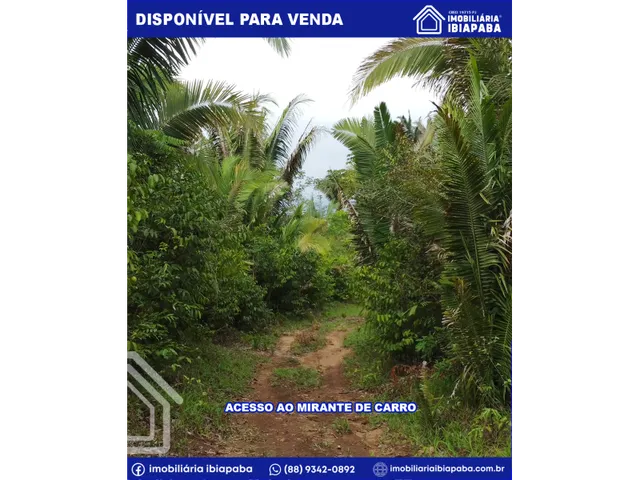Imagem 3: Mirante Espetacular no Sítio santa Luzia