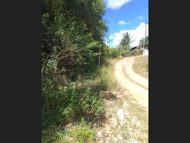 Imagem 13: Vendo Uma Chácara no Cabo de Santo Agostinho com 9.382M2