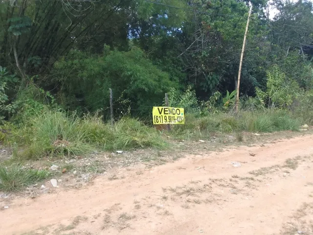 Imagem 14: Vendo Uma Chácara no Cabo de Santo Agostinho com 9.382M2