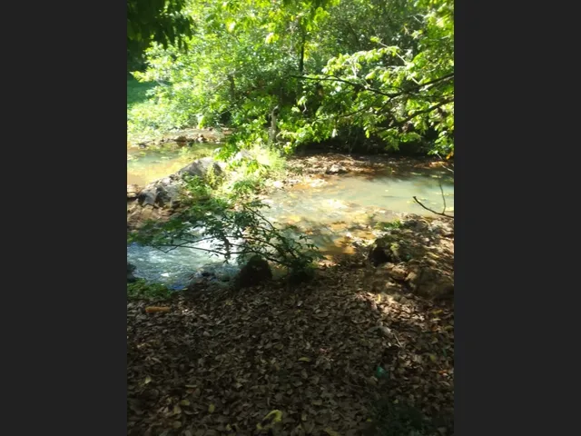 Imagem 2: Vendo Uma Chácara no Cabo de Santo Agostinho com 9.382M2