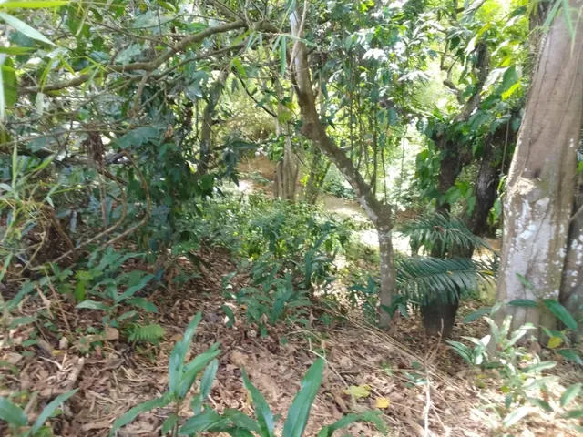 Imagem 9: Vendo Uma Chácara no Cabo de Santo Agostinho com 9.382M2