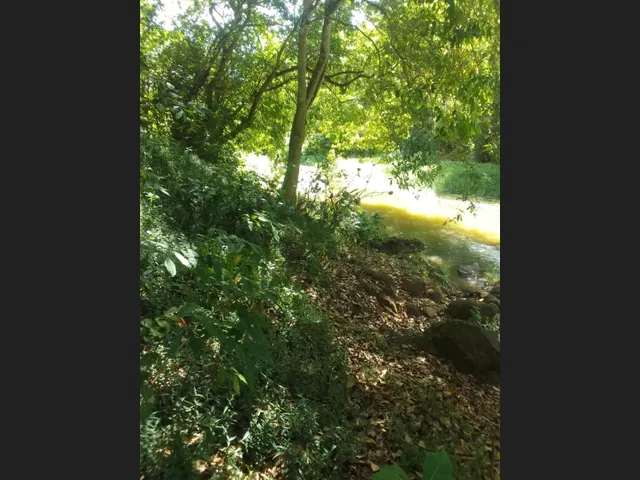 Imagem 8: Vendo Uma Chácara no Cabo de Santo Agostinho com 9.382M2