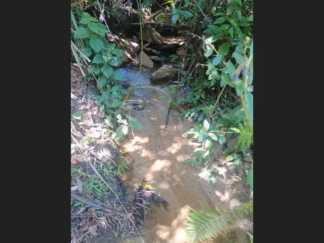 Imagem: Terreno de 30 Há em Piracema Mg
