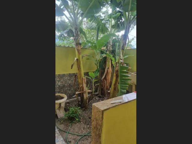 Imagem 15: 2 Casas pelo Preço de 1 - Valverde, Nova Iguaçu