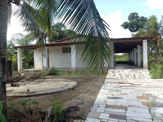 Imagem: Excelente Oportunidade! Vendo Sítio, Povoado