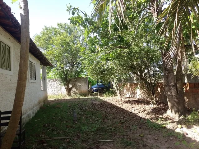 Imagem 4: Excelente Oportunidade! Vendo Sítio, Povoado Comum ( Extremoz). 20X100. Valor: 78 Mil
