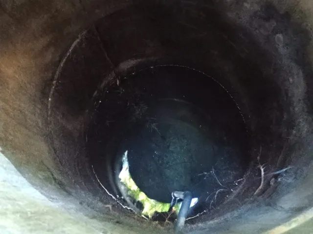 Imagem 7: Fazendinha de 14 Há em Carmópolis do Cajuru Mg