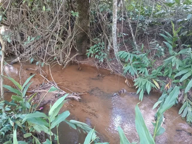 Imagem 8: Fazendinha de 14 Há em Carmópolis do Cajuru Mg