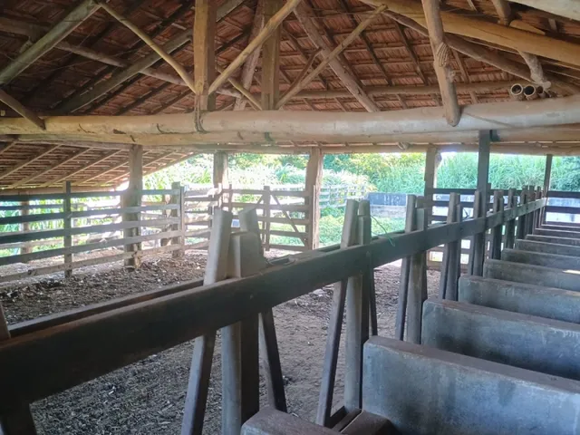 Imagem 9: Fazendinha de 14 Há em Carmópolis do Cajuru Mg