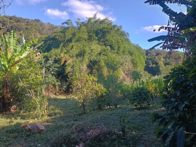 Imagem 15: Fazendinha de 14 Há em Carmópolis do Cajuru Mg