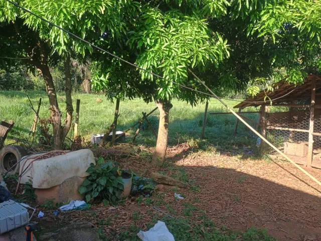 Imagem 14: Fazendinha de 14 Há em Carmópolis do Cajuru Mg