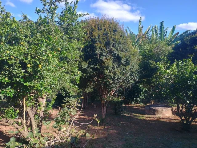 Imagem 11: Fazendinha de 14 Há em Carmópolis do Cajuru Mg