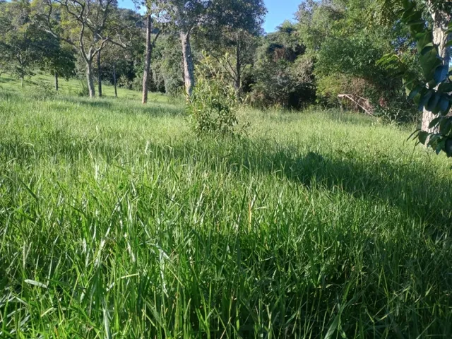 Imagem 5: Fazendinha de 14 Há em Carmópolis do Cajuru Mg