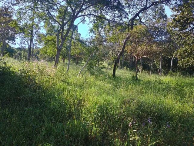 Imagem 4: Fazendinha de 14 Há em Carmópolis do Cajuru Mg