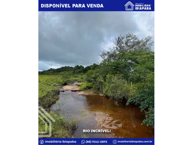 Imagem 3: Terreno de 05 Hectares e com Rio Incrível - Excelente para Agricultura e Investimento